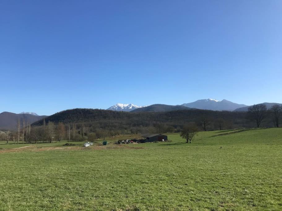 Au Coeur De Loo Villa Sauveterre-de-Comminges Eksteriør billede